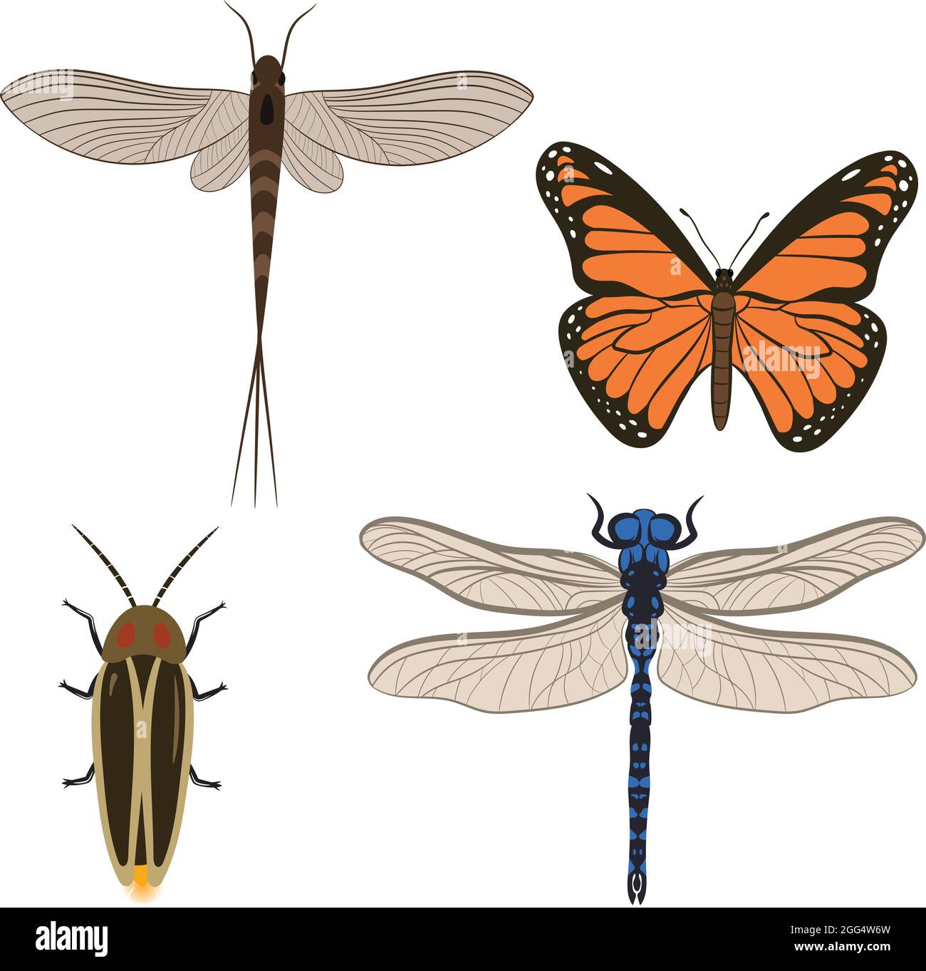 Big Set of Dragonfly Butterfly Firefly and Mayfly Vector Illustration Fill and Outline Isolated on White Background Stock Vector