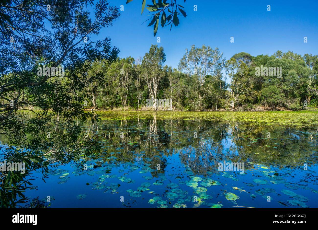 Sandstone Lakes scenic parkland at Ningi in the Moreton Bay region, Southeast Queensland, Australia Stock Photo