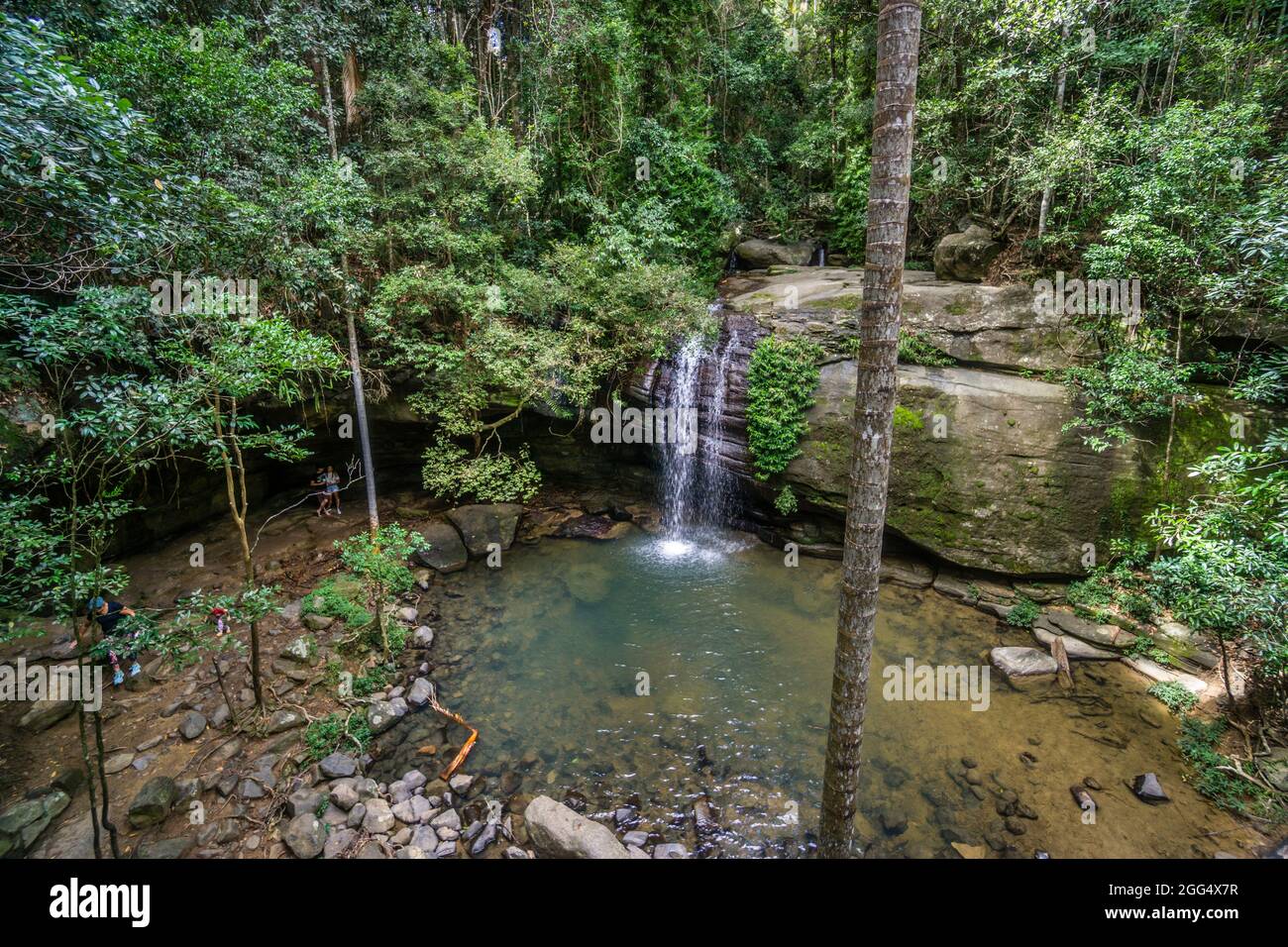 Serenity Falls in the Buderim Forest Park, Sunshine Coast, Queensland, Australia Stock Photo