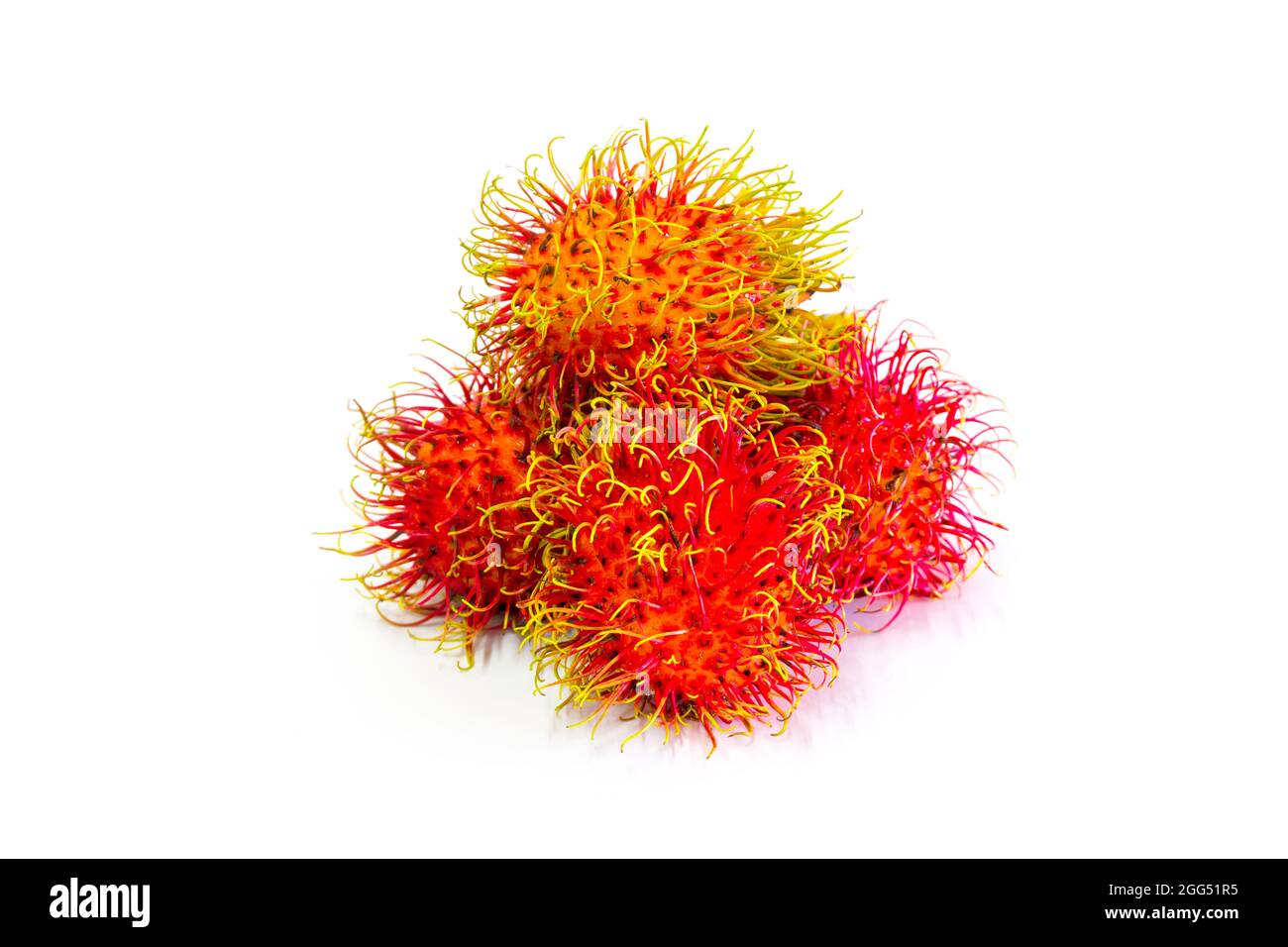Fresh red rambutan on a white background is used to make a website or a ...