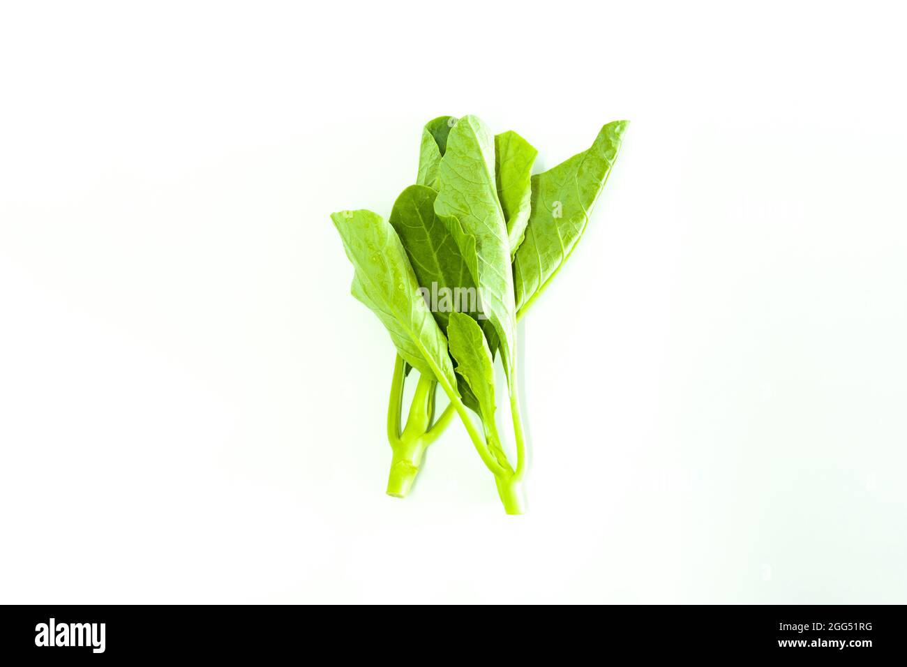 Organic Collard greens vegetable cabbage nutrition salad on a white background. Stock Photo