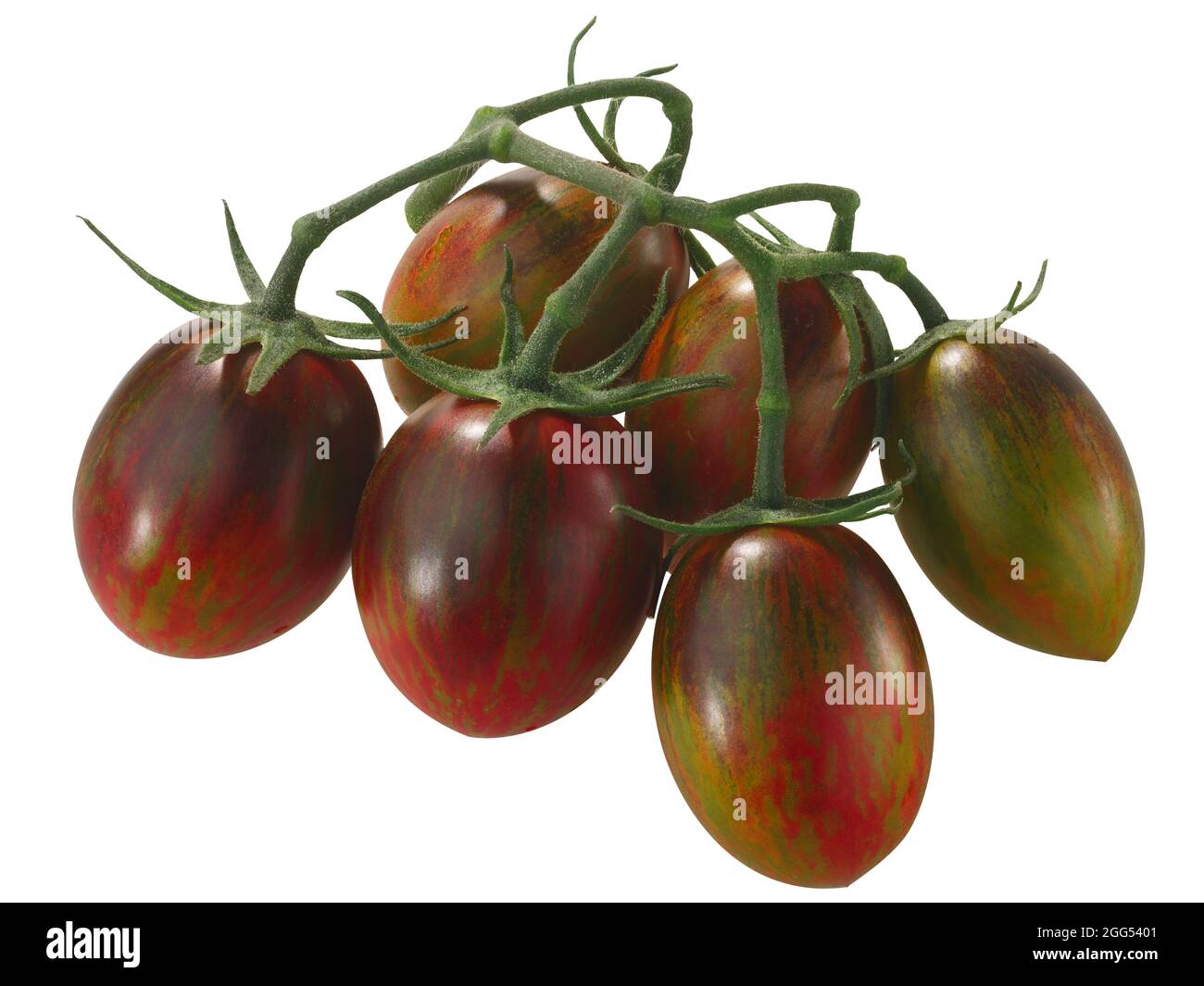 Brad's atomic grape heirloom tomatoes on the vine, cluster of, isolated