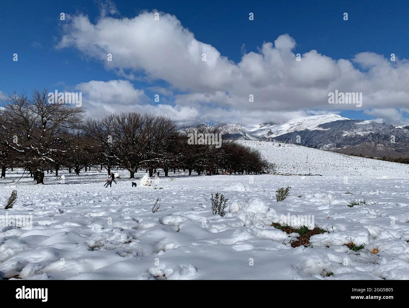 Ceres, South Africa. 29th Aug, 2021. A blanket of snow has formed near  Ceres in the Western Cape of South Africa. A front of arctic cold is  currently bringing sub-zero temperatures and