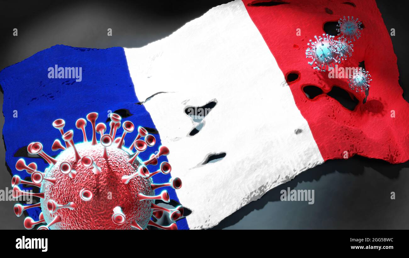 Covid in France - coronavirus attacking a national flag of France as a symbol of a fight and struggle with the virus pandemic in this country, 3d illu Stock Photo