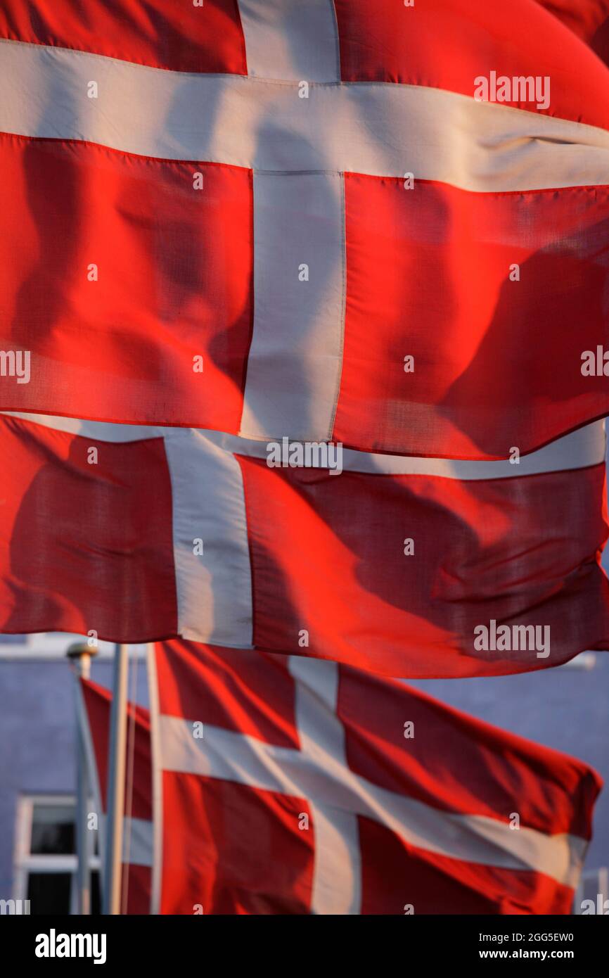 National danish flags, Denmark Stock Photo