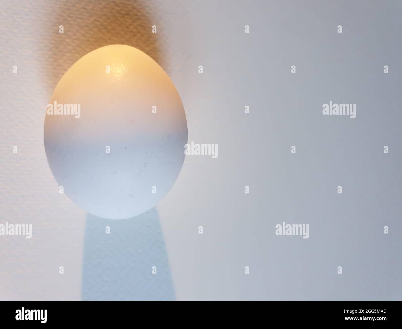 Egg ovulation hi-res stock photography and images - Alamy
