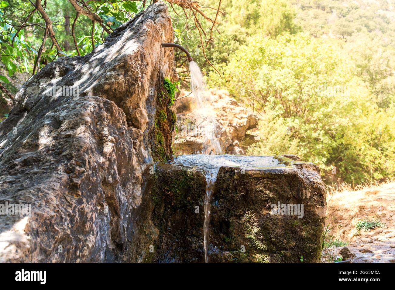 Natural source on the Borosa river path, Sierra de Cazorla. Stock Photo