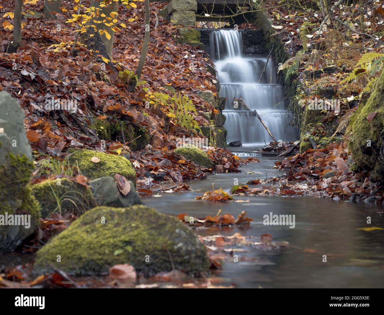 Beautiful shot park waterfall hi-res stock photography and images - Alamy