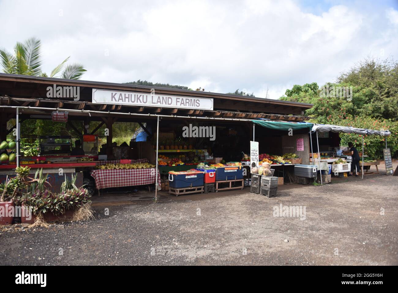 Oahu, HI. U.S.A. 6/4/2021. Kahuku Land Farms, Rick’s Brand and Aunty’s