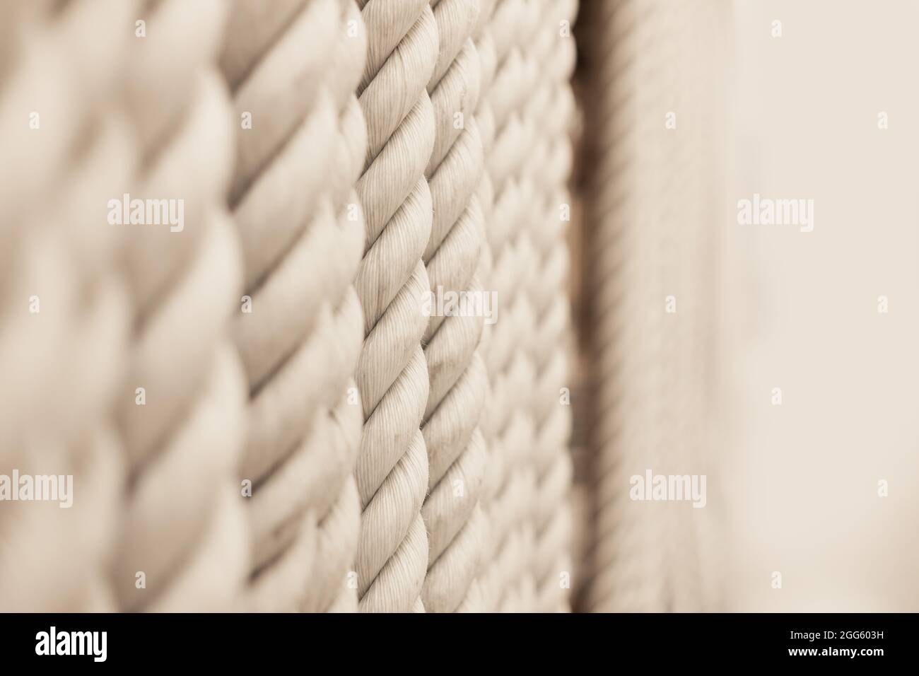 Different strong white ropes weigh upright on white background Stock