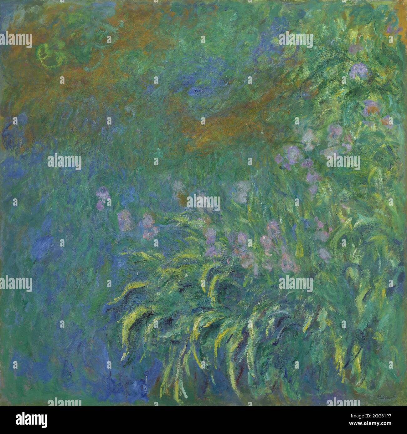 Irises by Claude 1914/17 Stock Photo Alamy