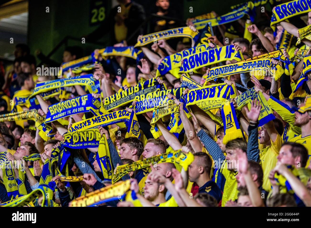 Broendby, Denmark. 25th, August 2021. Football fans of Broendby IF seen on  the stands during the UEFA Champions League qualification match between  Broendby IF and FC Red Bull Salzburg at Broendby Stadion