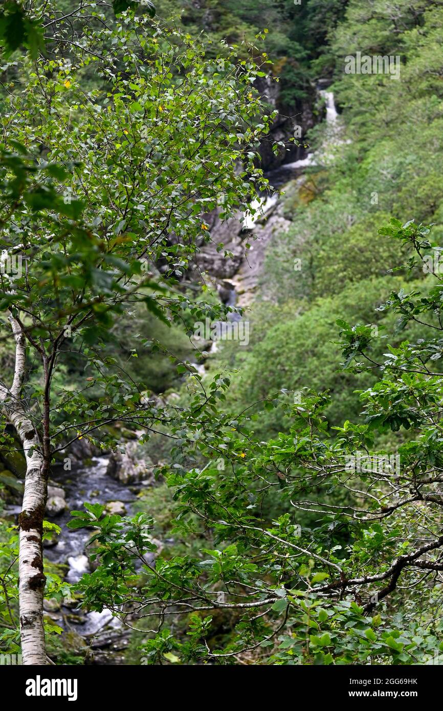 The beautiful Waterfalls and Bridges of Devils Bridge in Wales Stock