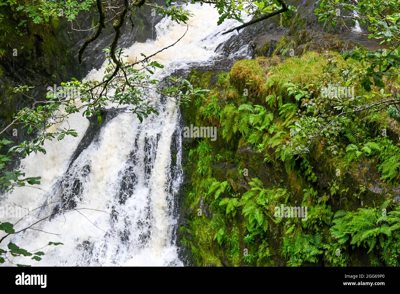 The beautiful Waterfalls and Bridges of Devils Bridge in Wales Stock
