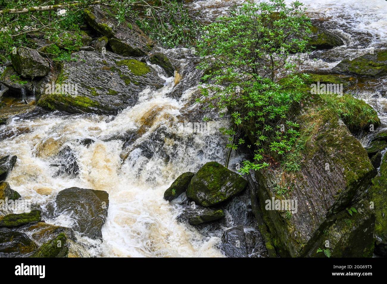 The beautiful Waterfalls and Bridges of Devils Bridge in Wales Stock