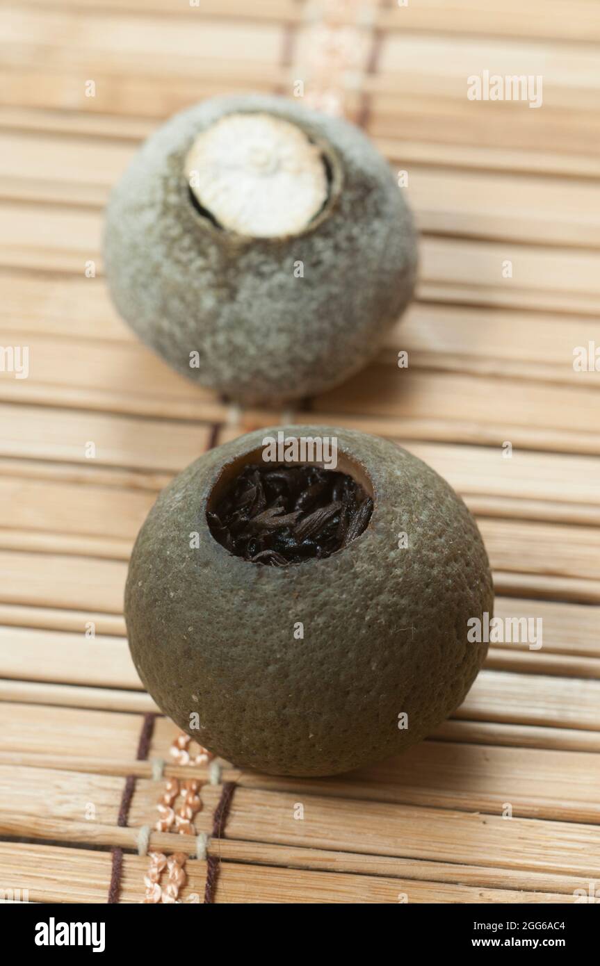 Pu'er tea in tangerine on a bamboo background, close up Stock Photo