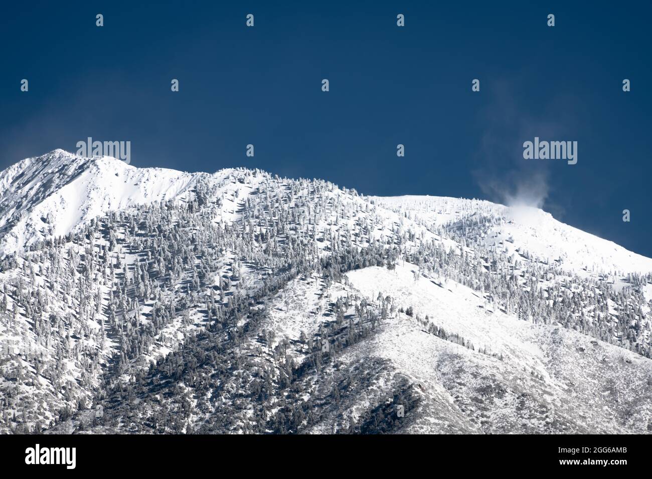 The first snow of the season above the 3500-foot elevation snowlike  on Timber Mountain. Stock Photo