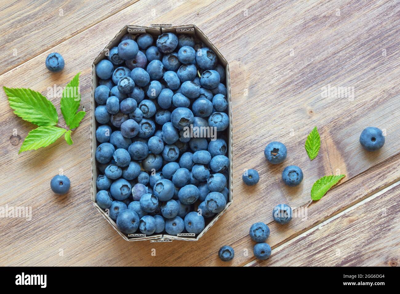 Blueberry in cardboard box from market. Flat lay, free space for text Stock Photo