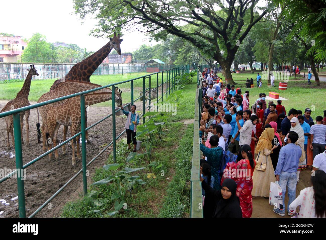 Non Exclusive: Visitors look as zoo trainer feeds a giraffe at the ...