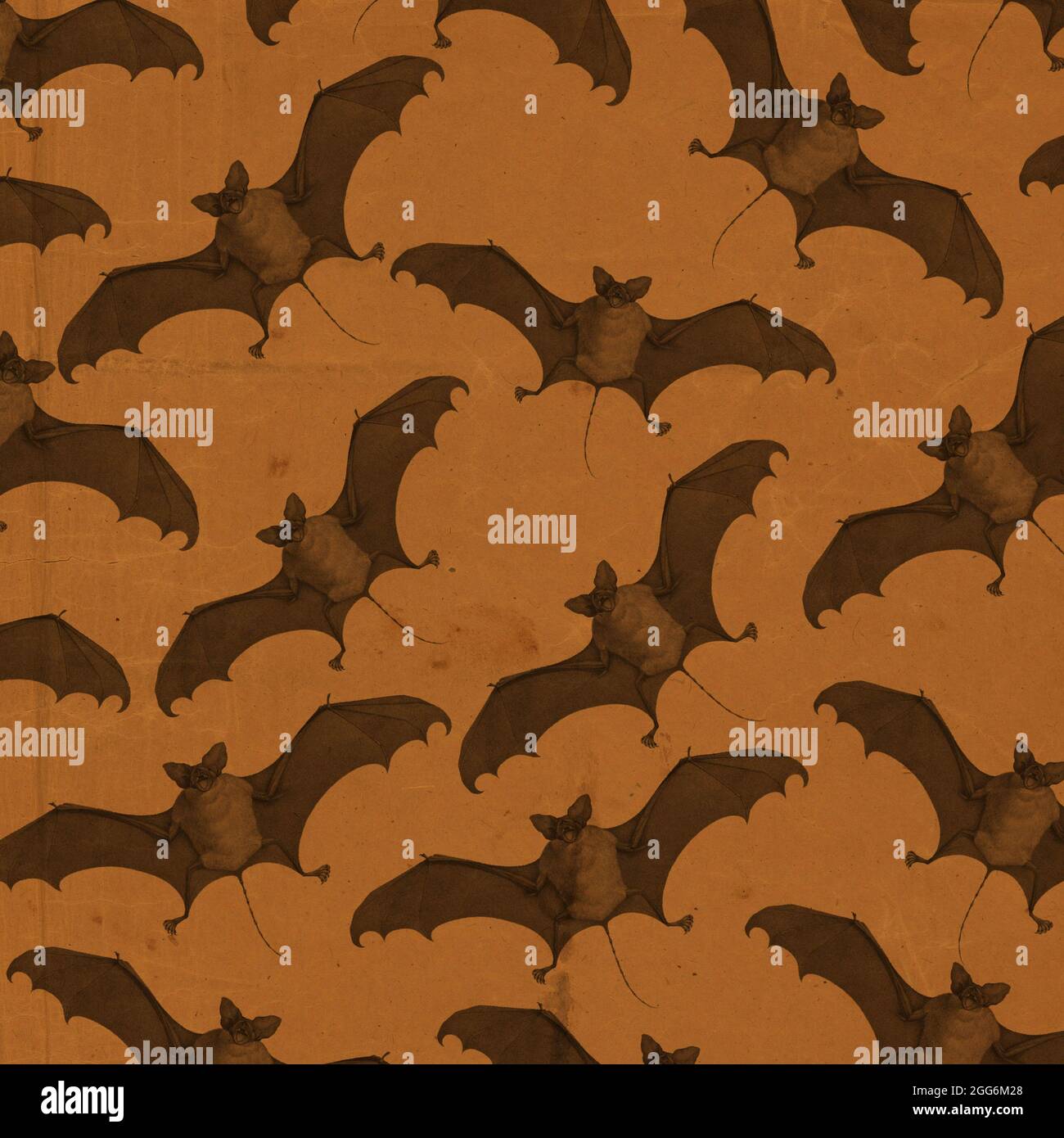 This is a vintage kraft style Halloween wallpaper or background featuring bats created using antique elements Stock Photo