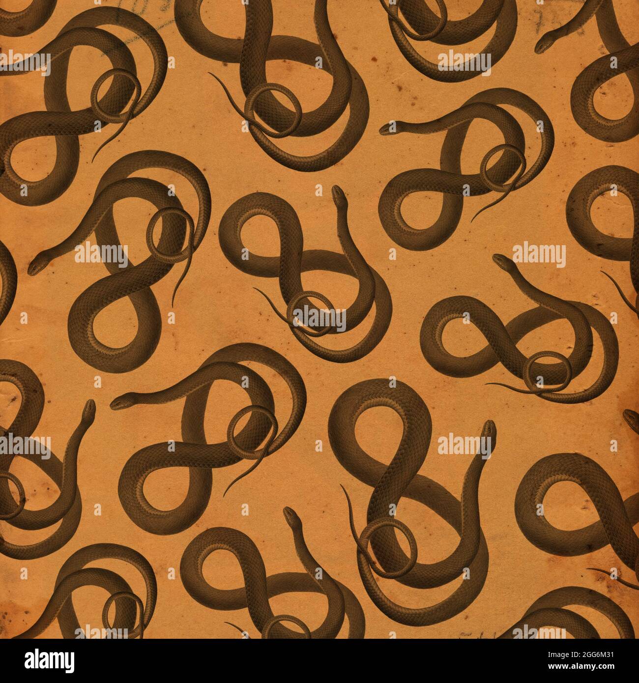 This is a vintage snake kraft style Halloween wallpaper or background created using antique elements Stock Photo