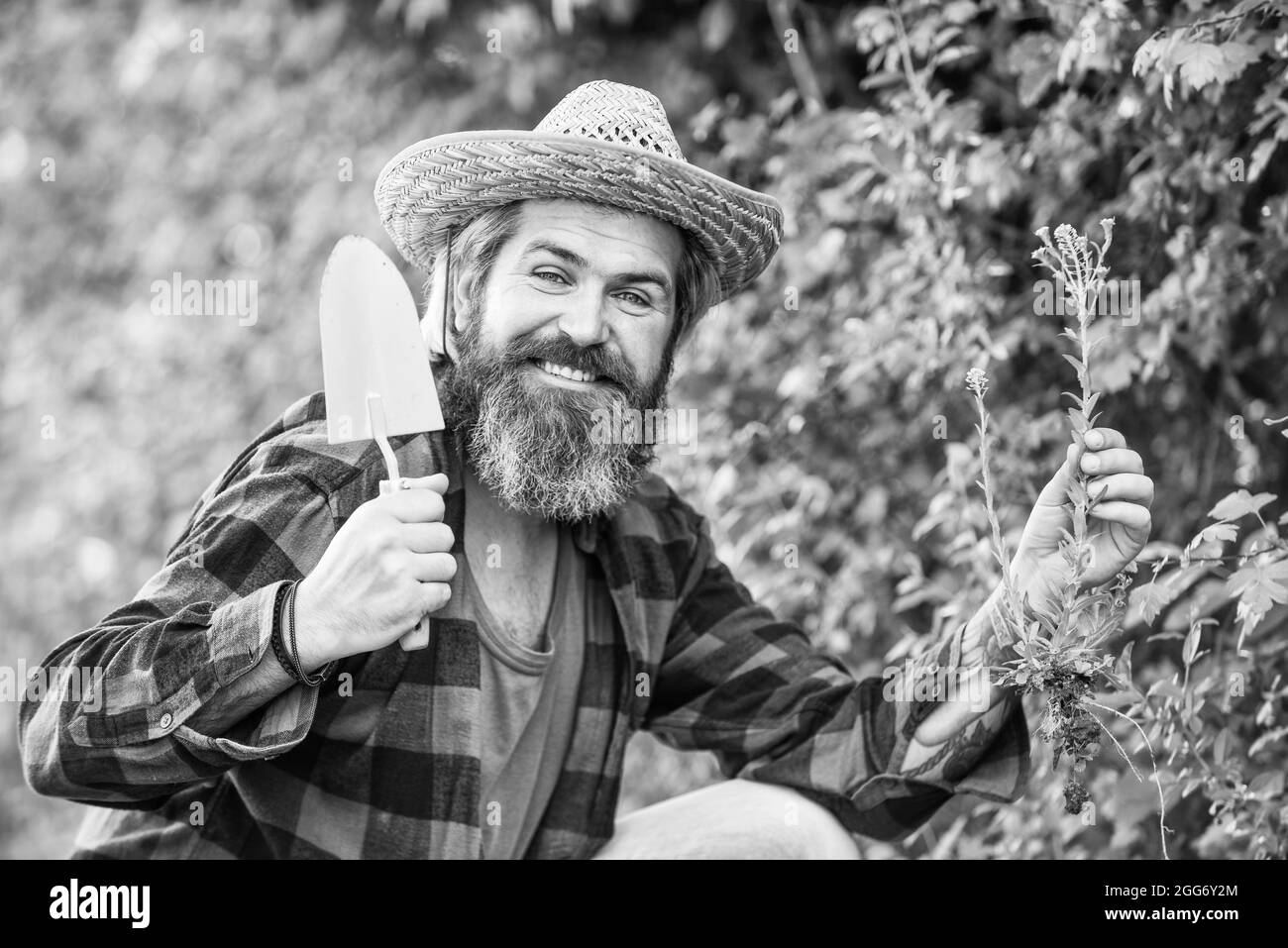 Gardeners hands plant flowers in backyard. Gardener planting flowers with garden trowel. Farmer planting seedling in organic garden. happy man. people Stock Photo