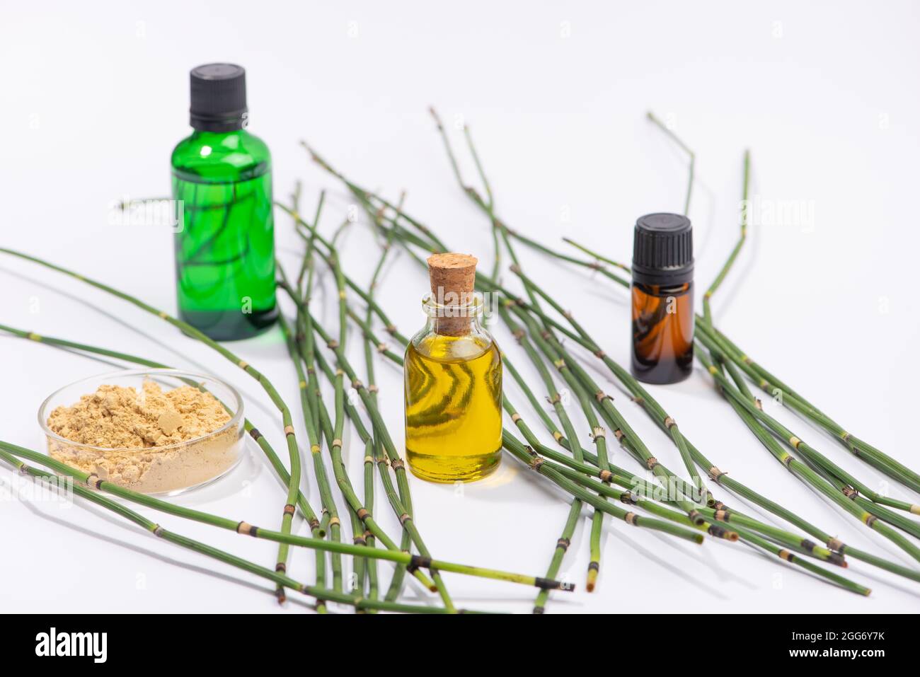 Water horsetail, swamp horsetail oil and extract on white background