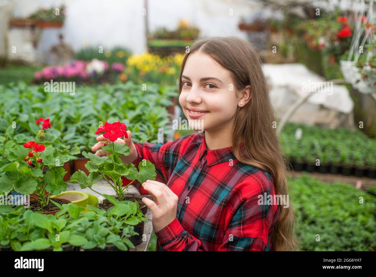 happy teen girl florist planting pot plants in greenhouse, spring Stock ...
