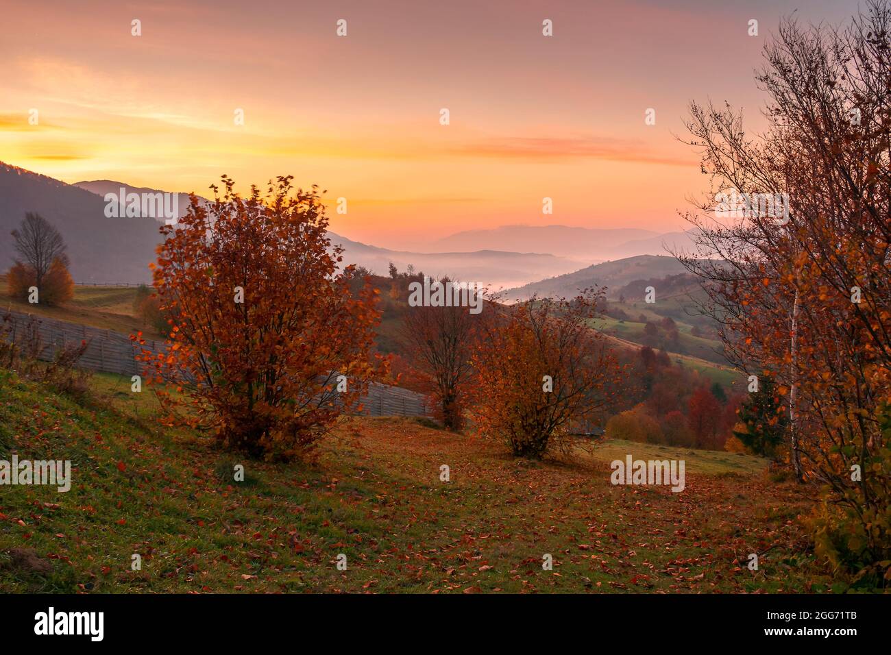 Wooden rustic fence autumn trees hi-res stock photography and images ...