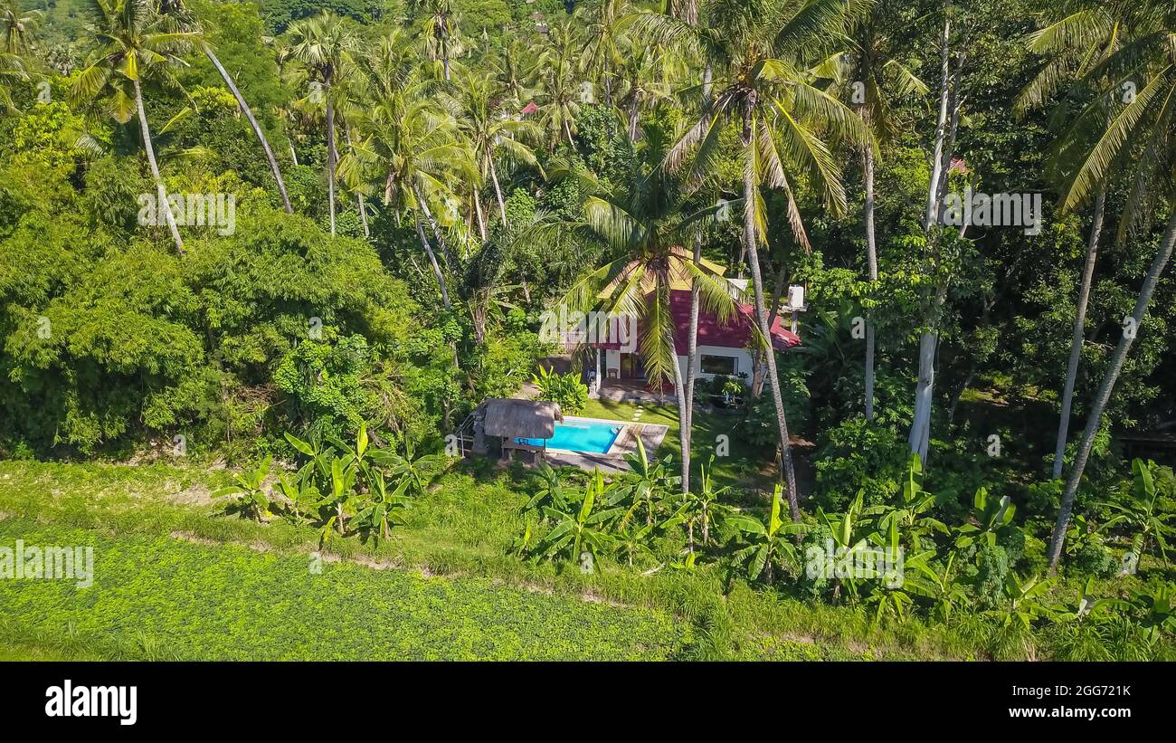 Pool With Rice Farm Aerial view of a house with pool surrounded by textured rice fields ...