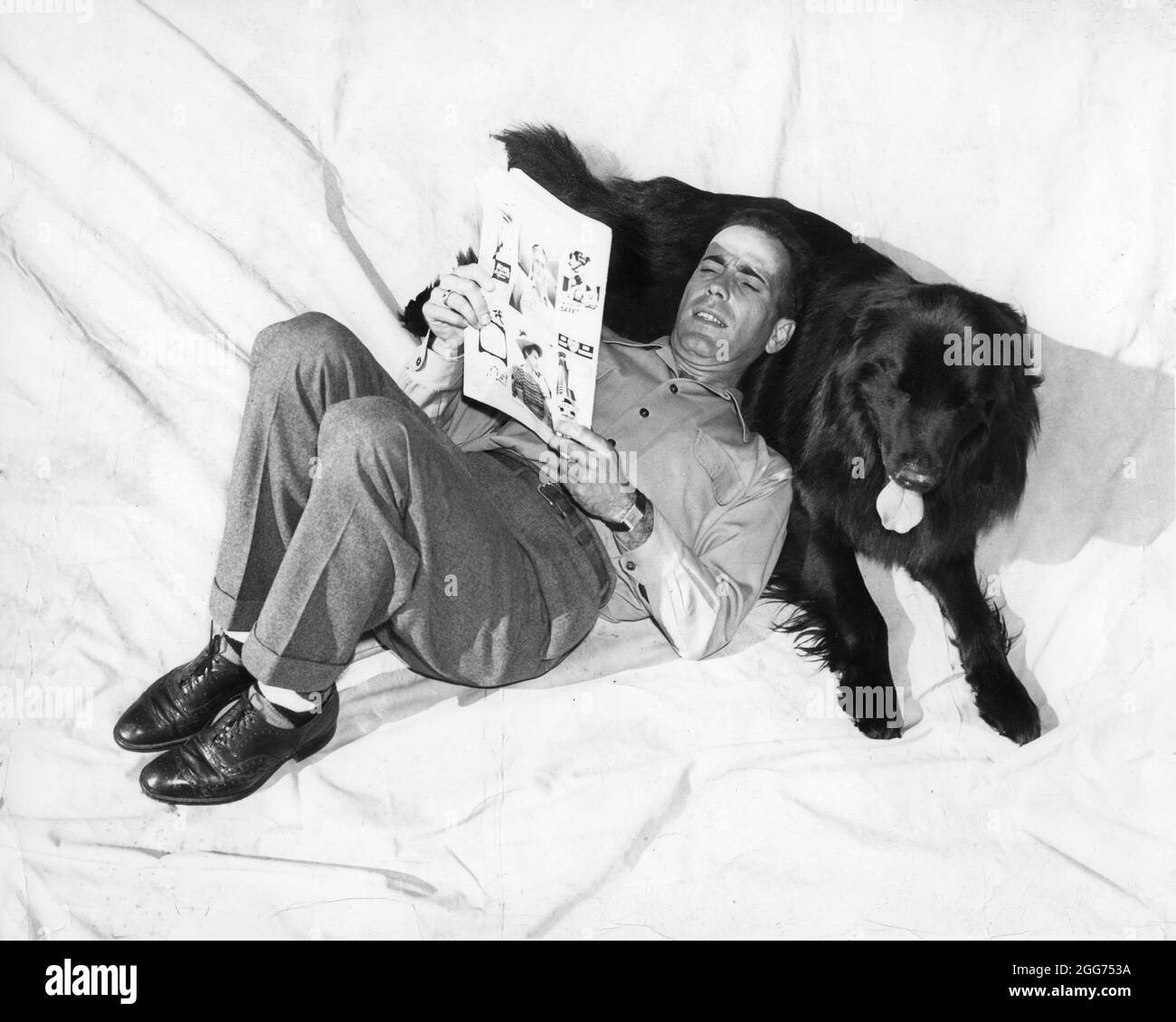 HUMPHREY BOGART 1940 relaxing with his Newfoundland Dog Captain Kidd at his home on Shoreham Drive Los Angeles publicity for Warner Bros. Stock Photo