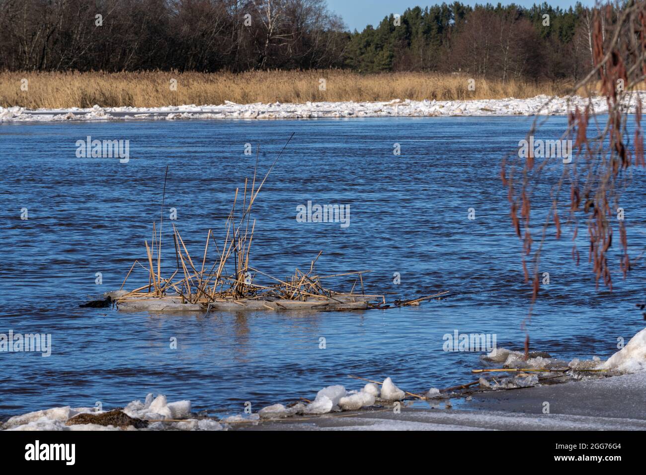 a piece of ice with bent floating along the river Stock Photo - Alamy