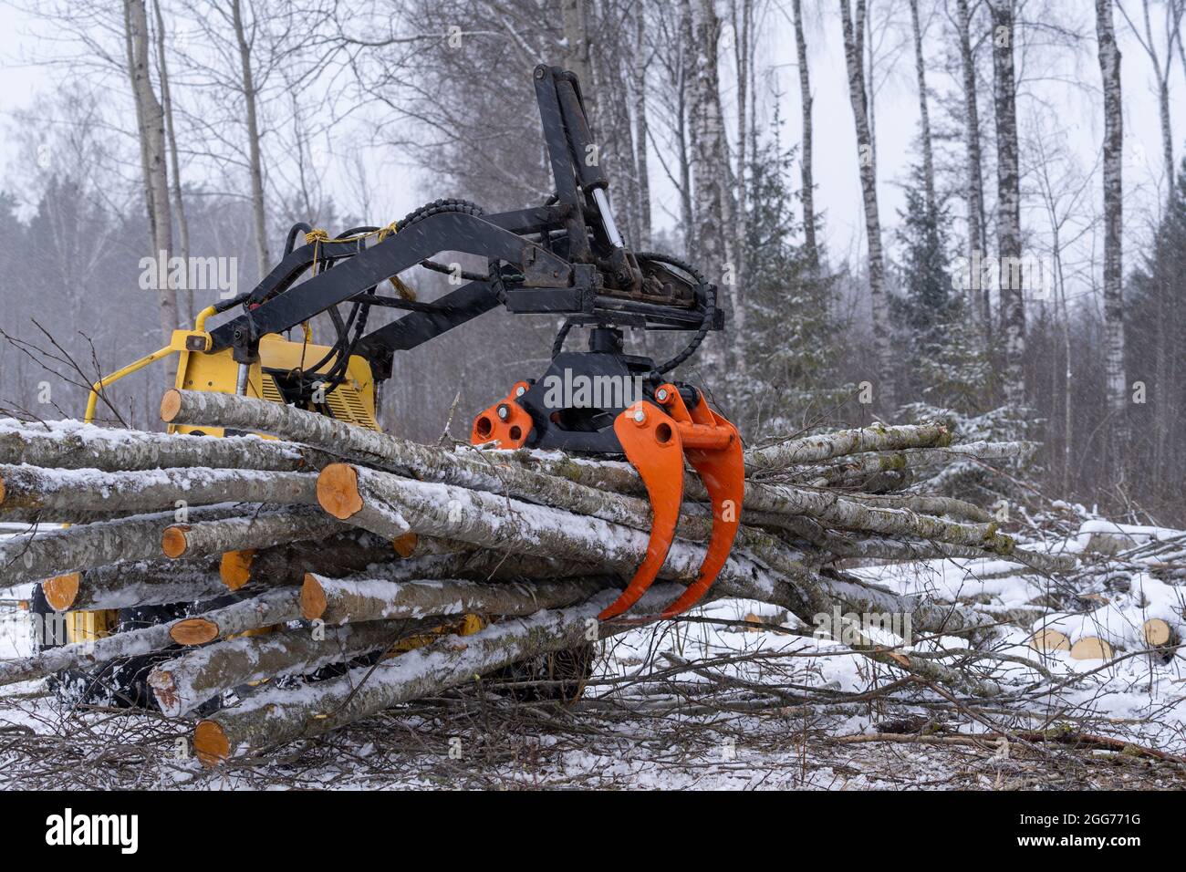 Side view to mini skid steer. Mini loader is taken full grapple of wodden logs. Winter time around. Stock Photo