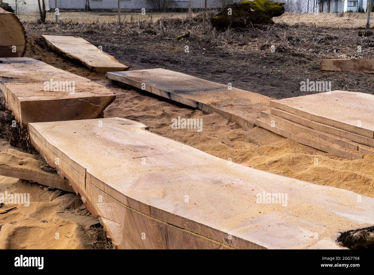 the second life of oak when sawing boards using a mobile chainsaw mill