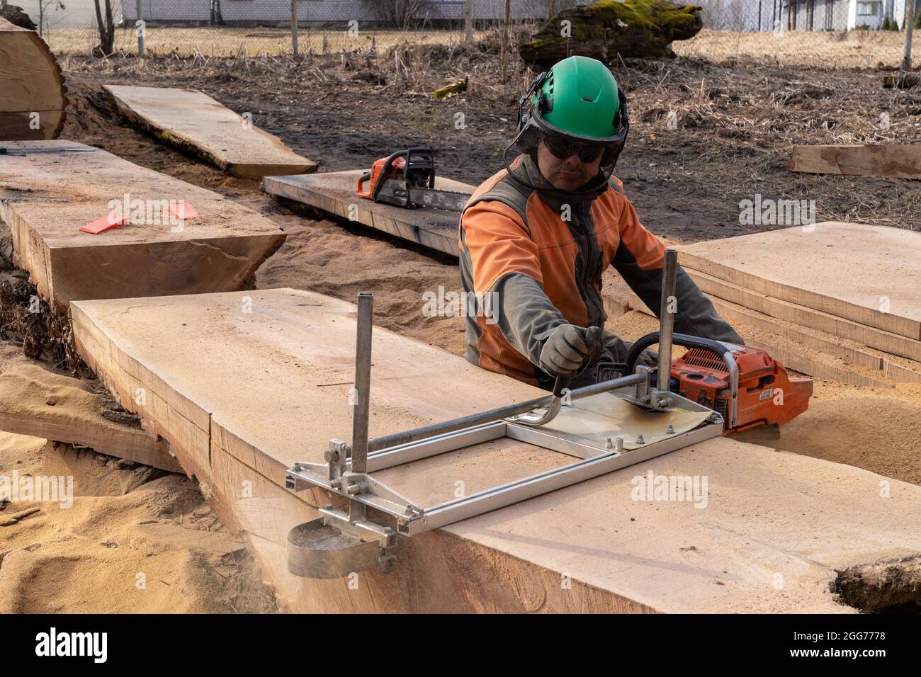the second life of oak when sawing boards using a mobile chainsaw mill