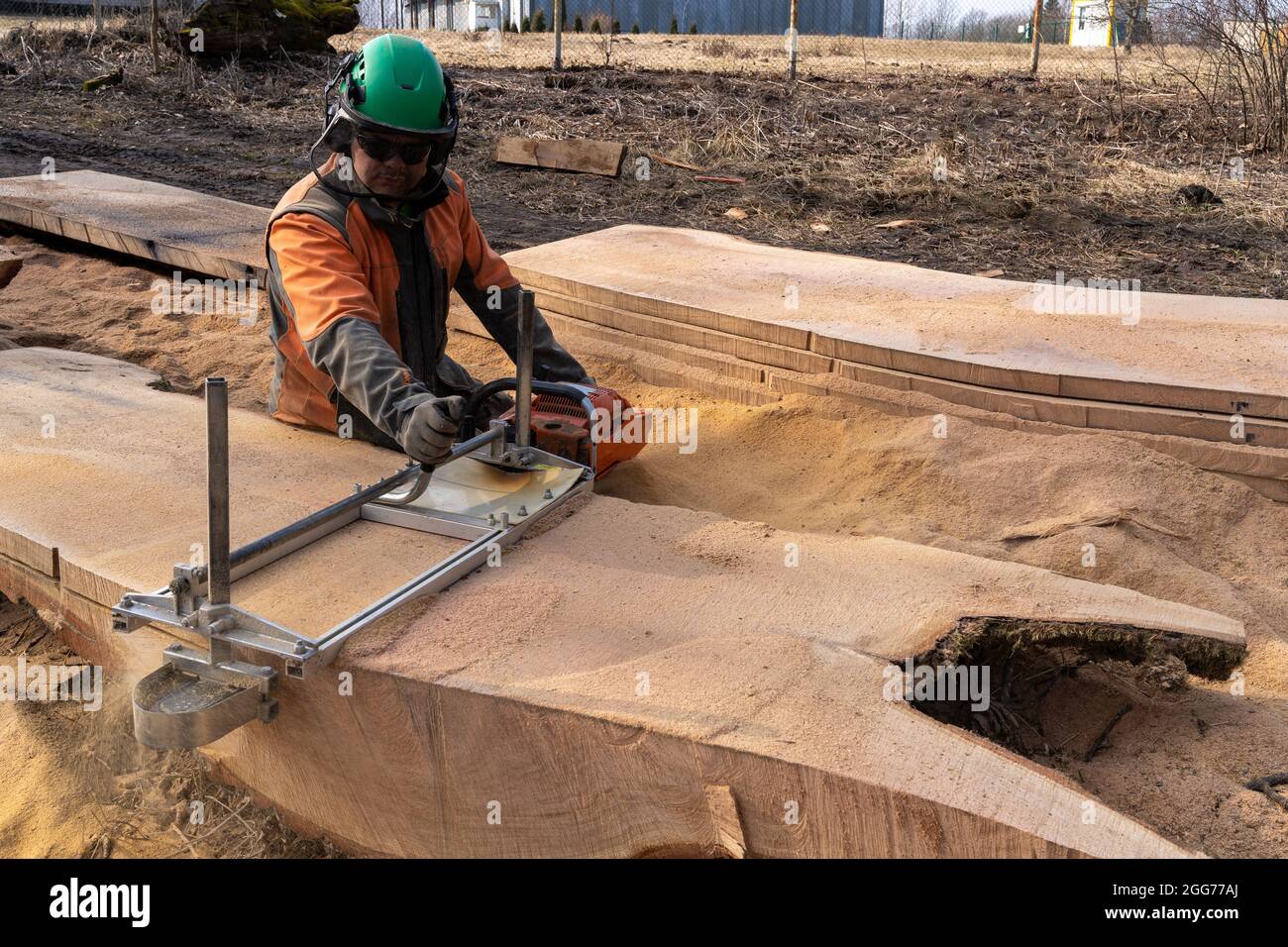 the second life of oak when sawing boards using a mobile chainsaw mill