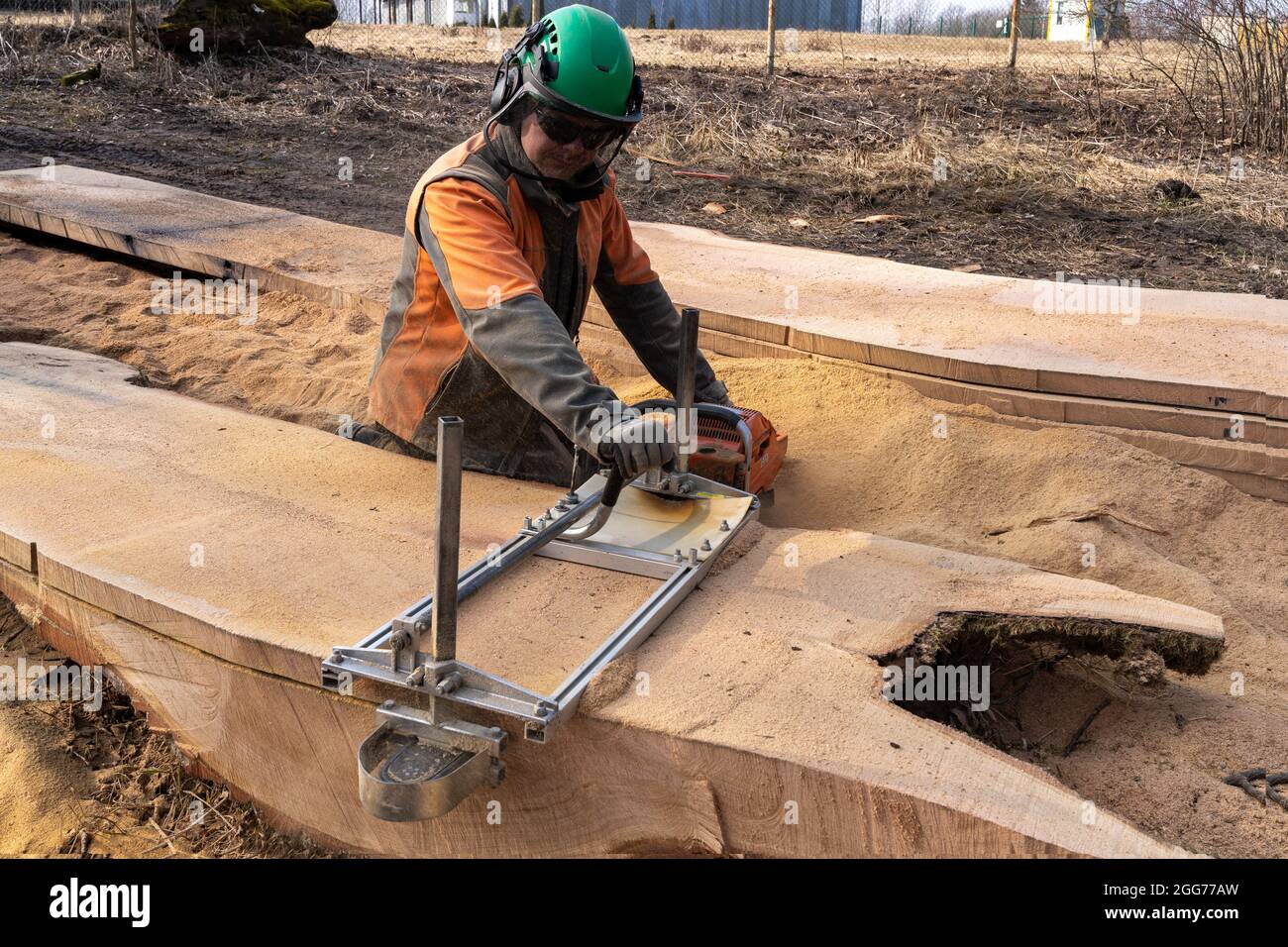 the second life of oak when sawing boards using a mobile chainsaw mill