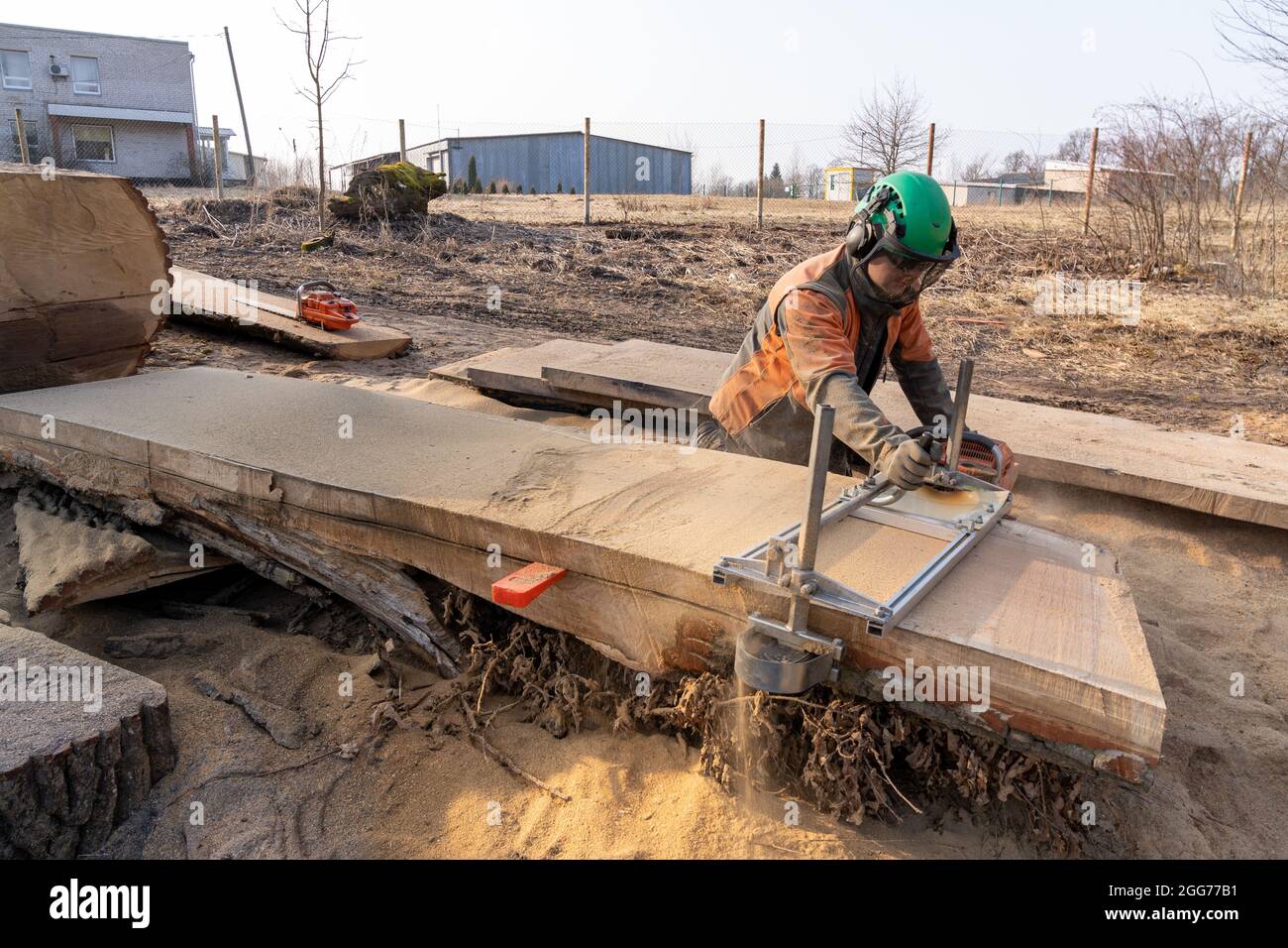 the second life of oak when sawing boards using a mobile chainsaw mill