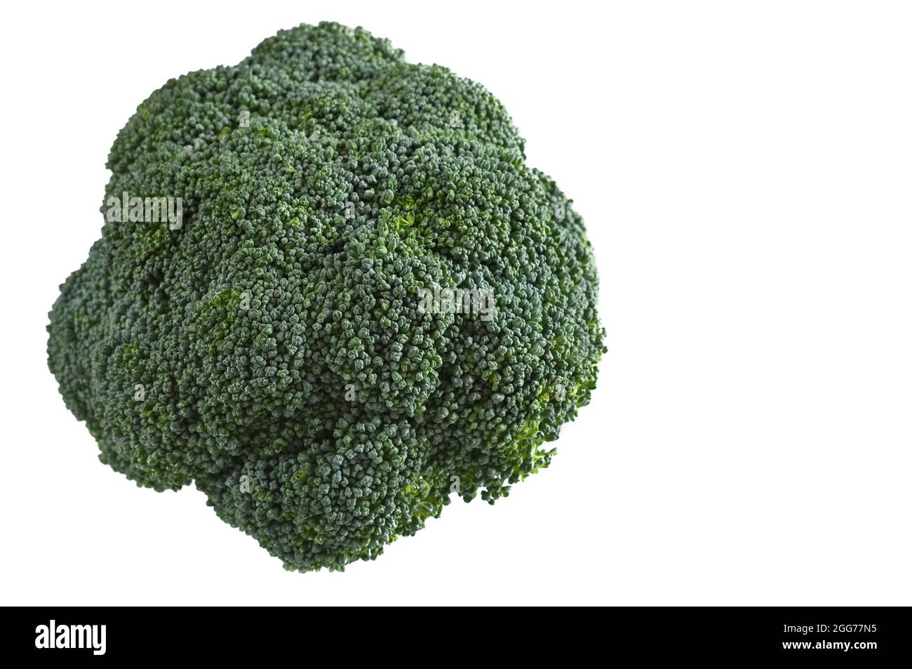 Ecological and natural broccoli just collected from the Valencian garden. Stock Photo