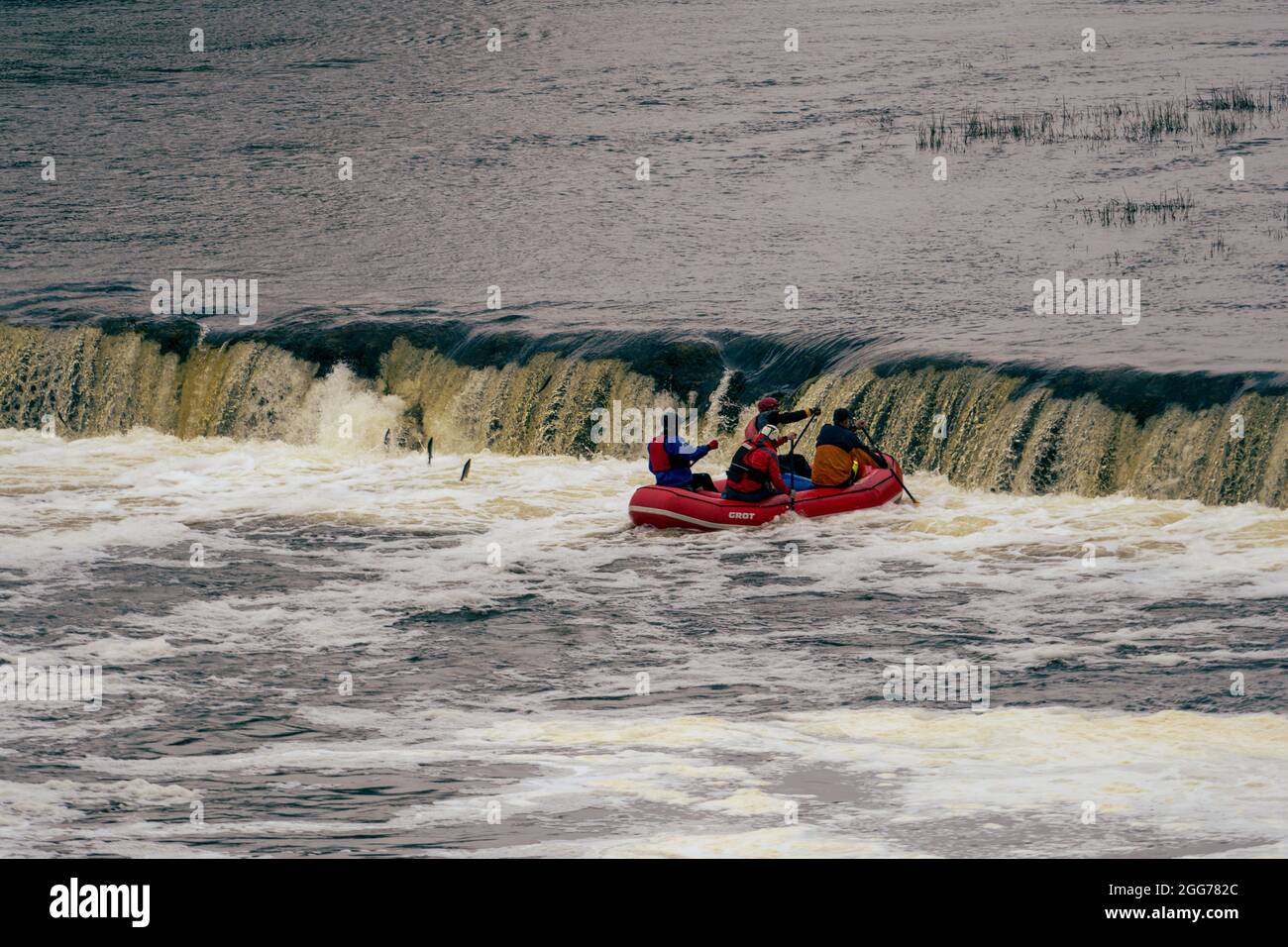 Kuldiga, Latvia, 04.25.2021 - people in a boat rowing at a waterfall watch as fish vimba jumps over Europe's longest waterfall Spring view over the Ve Stock Photo