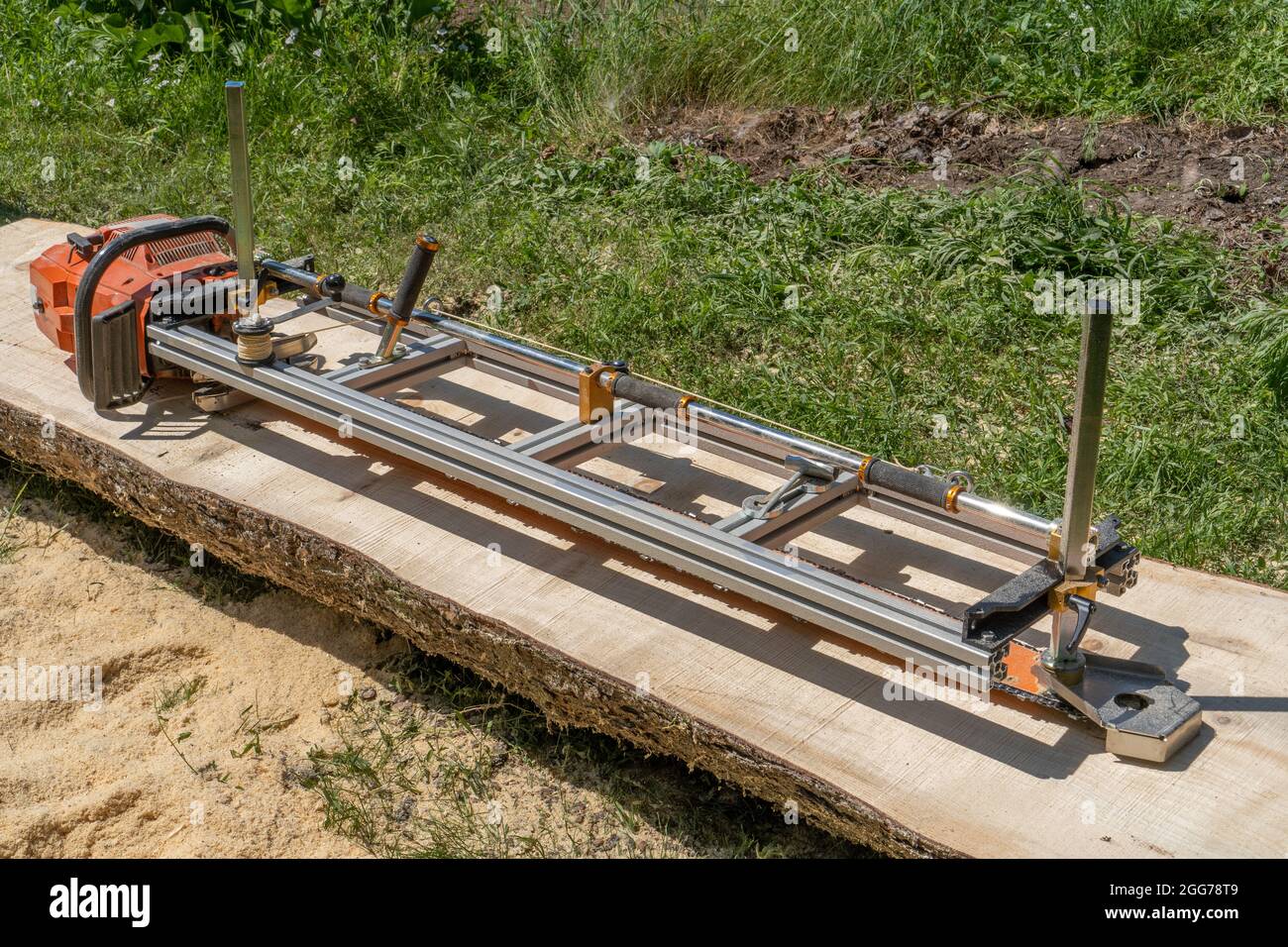 sawing a large log tree lying on the ground using a chainsaw mill Stock