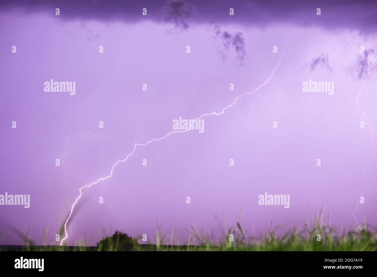 Lightning flashes across the night sky on the field grass. Violet color
