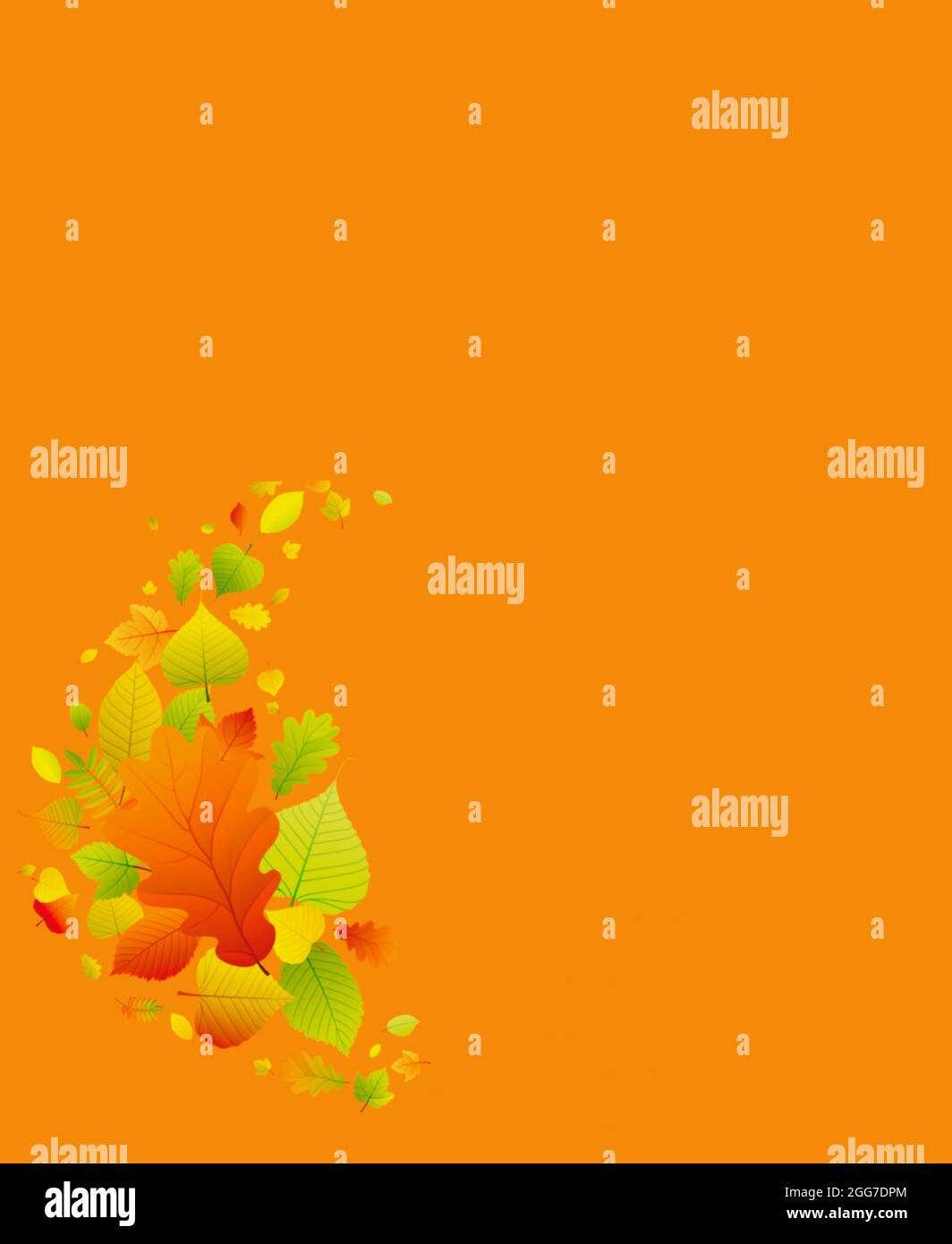Autumn leaves and fruits frame isolated in color background Stock Photo ...