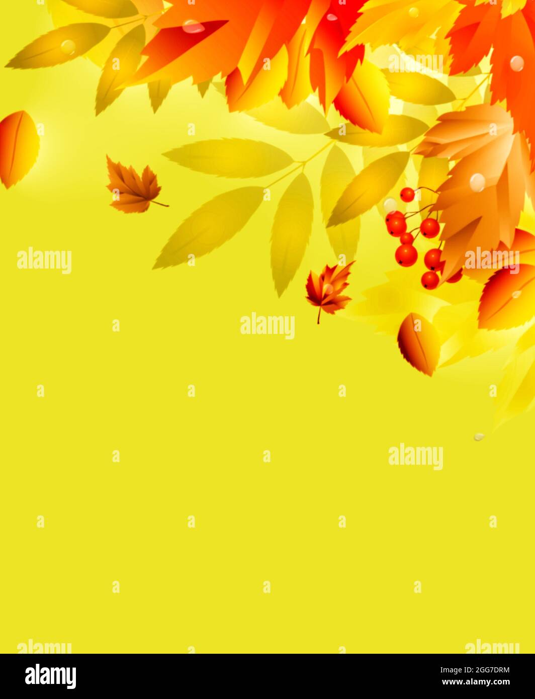 Autumn leaves and fruits frame isolated in color background Stock Photo ...