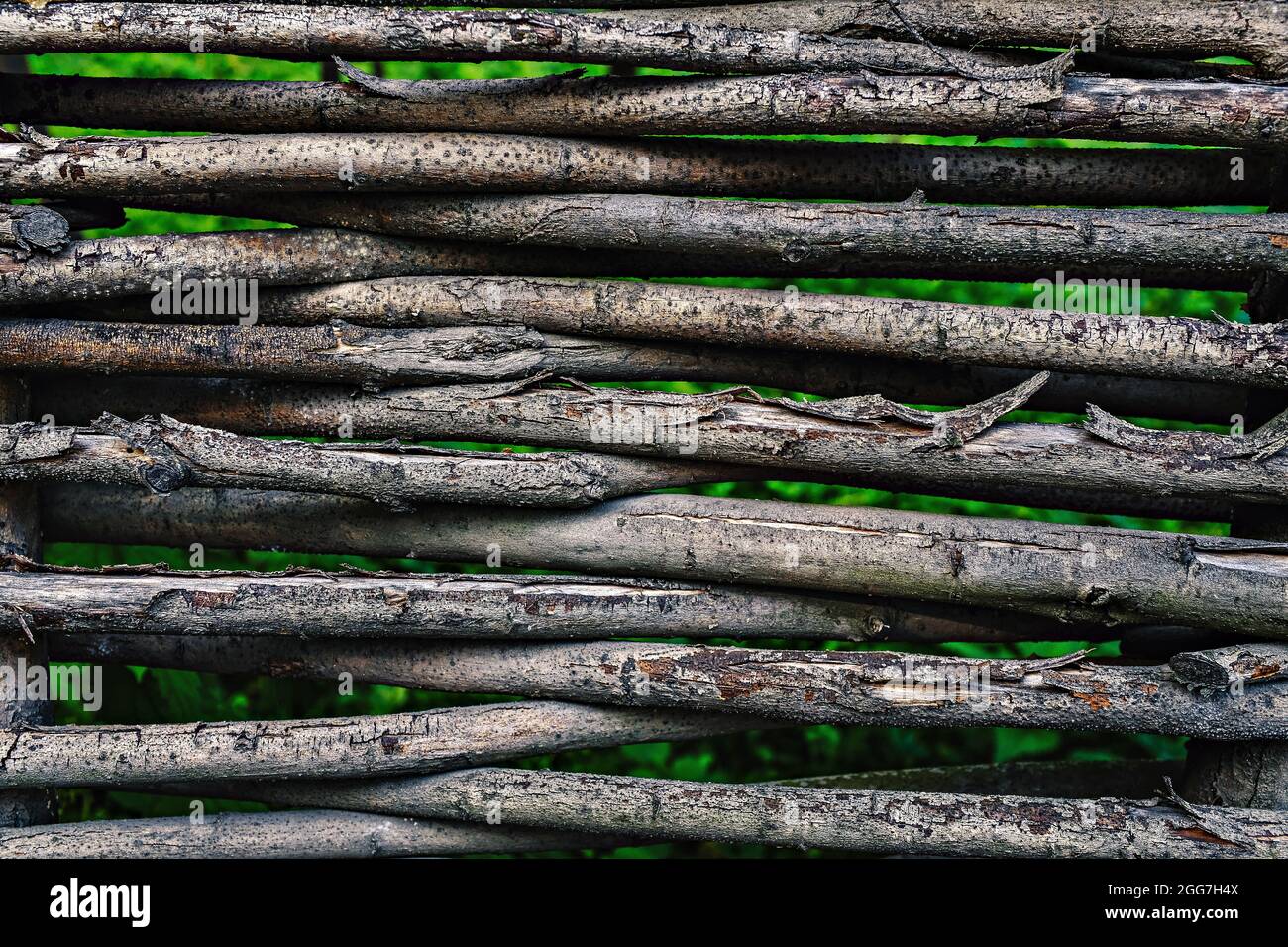 wicker fence texture. wattled rods background Stock Photo