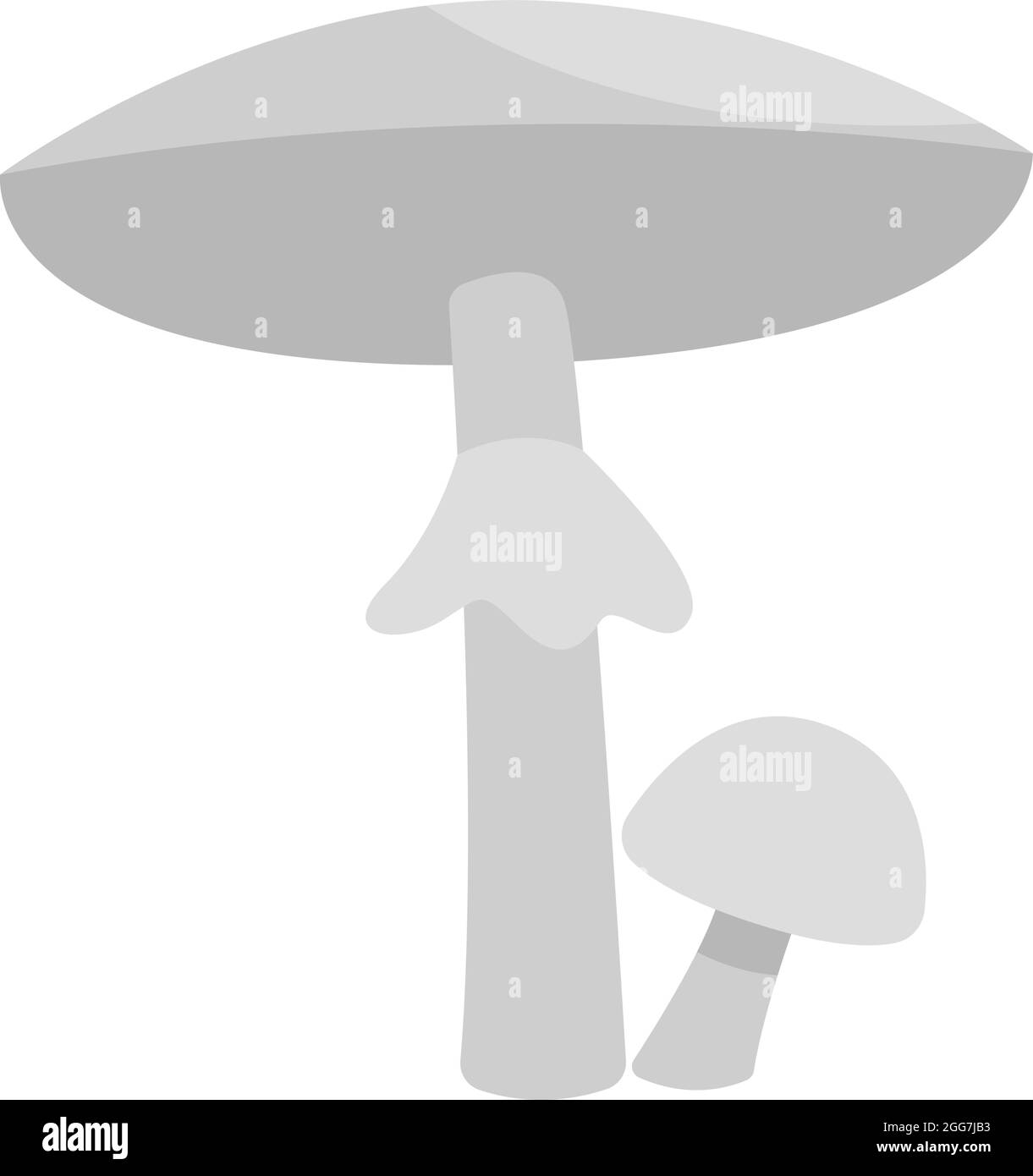 White destroying angel mushroom , icon illustration, vector on white background Stock Vector