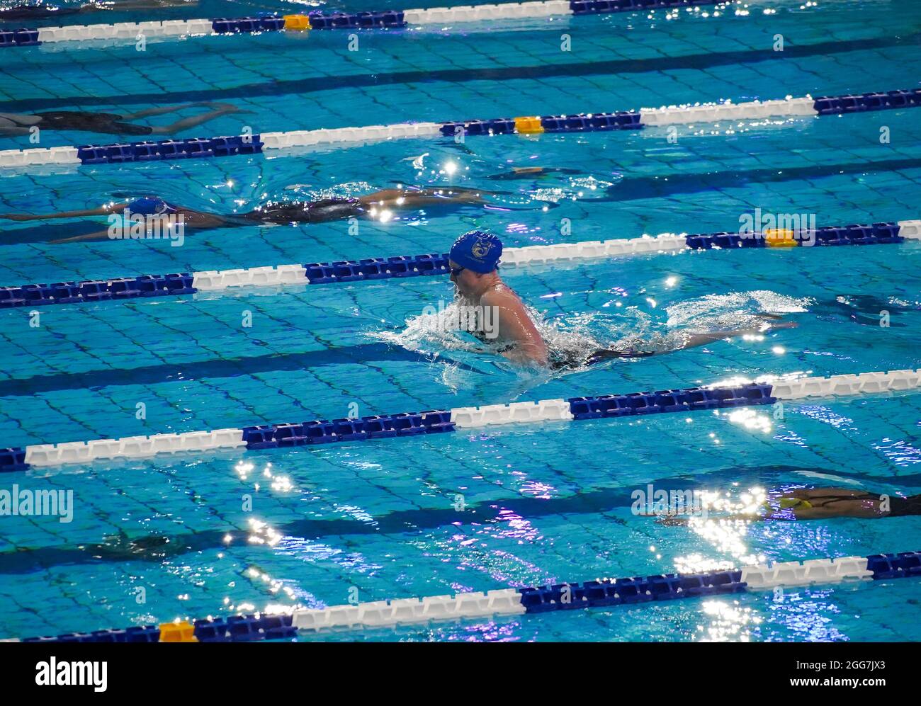 International swimming league hi-res stock photography and images