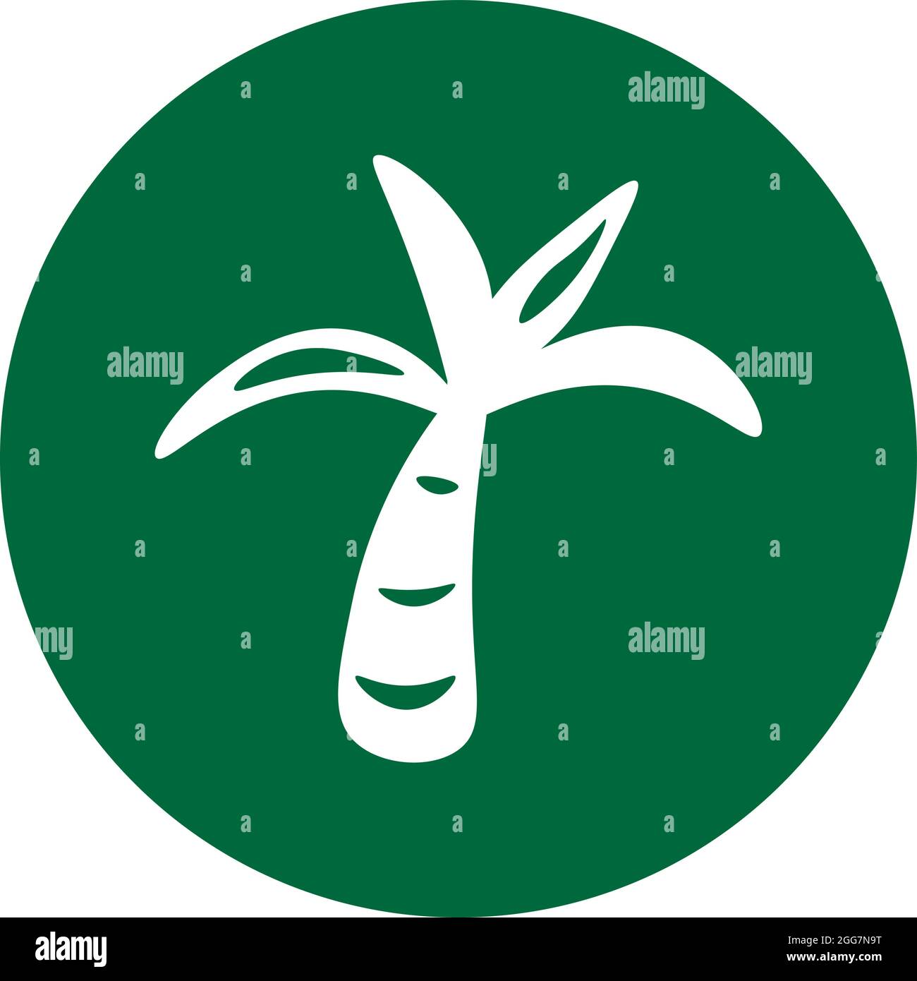 Fan palm tree, icon illustration, vector on white background Stock Vector