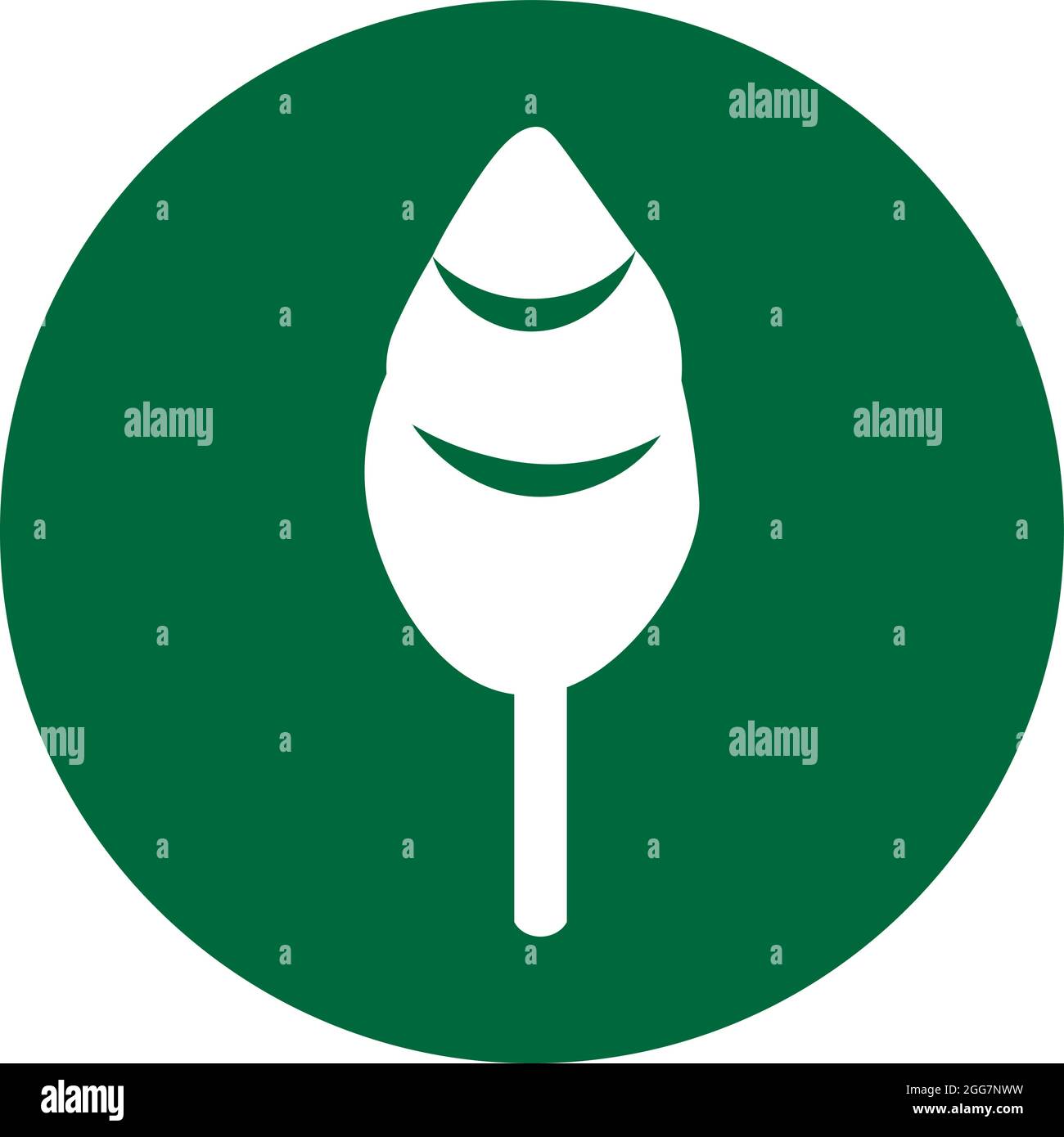 Pine tree, icon illustration, vector on white background Stock Vector ...