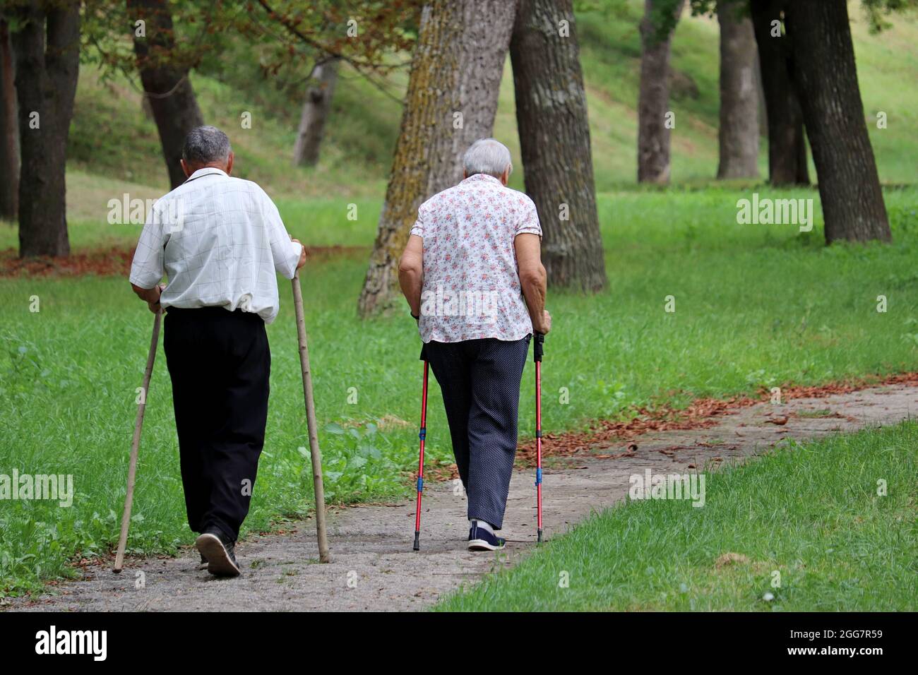 Nordic walking, elderly couple walk with canes in a park. Sports exercises for healthy spine and joints, therapy for health Stock Photo